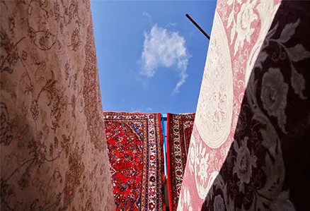 نقش مراکز معتبر در ارتقای کیفیت خدمات قالیشویی شهر ری